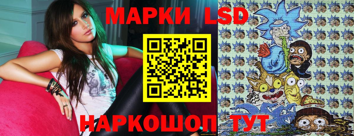где купить наркоту  Марки N-bome 1500мкг  Вход с VPN  Новомосковск  Марки N-bome 1500мкг 