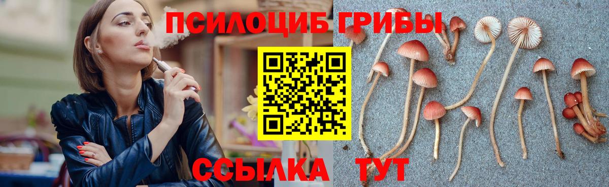 Псилоцибиновые грибы Psilocybine cubensis  Новомосковск 