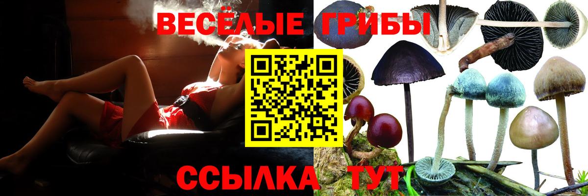 Новомосковск  Галлюциногенные грибы Psilocybine cubensis  Вход с VPN 