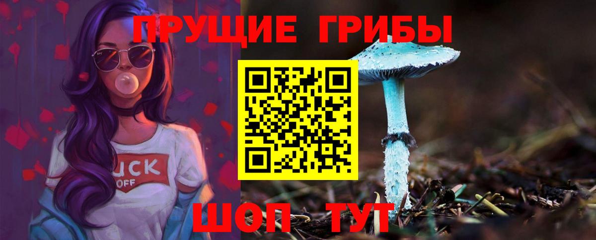 Галлюциногенные грибы MAGIC MUSHROOMS Новомосковск